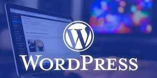 WordPress mi, Özel Yazılım mı? İşletmeniz İçin Doğru Seçim Nasıl Yapılır?